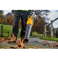 Ручная воздуходувка DeWalt DCMBA572X1-QW (с 1-им АКБ) в Гродно