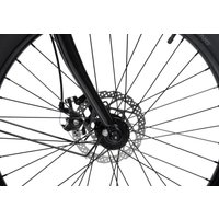 Велосипед Shulz Easy Fat 2023 (серебристый)