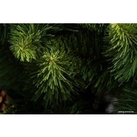 Сосна GreenTerra Хрустальная, зеленая 1.2 м