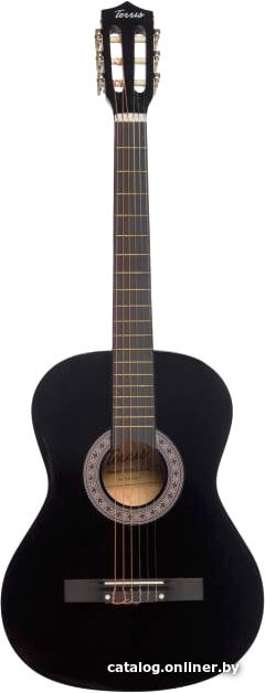 Акустическая гитара Terris TC-3801A BK