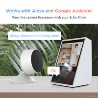 IP-камера Arenti IN1 Indoor Mini Security Camera в Могилеве