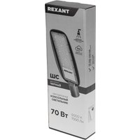 Садовый светильник Rexant ДКУ 03-70-5000К-Ш-C 607-308