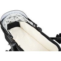 Универсальная коляска Aimile Adventurer ADV-11 (черный)