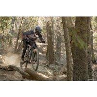 Велосипед Giant Reign 29 1 L 2020