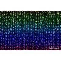 Световой дождь Neon-Night LED-RGB Умный дождь 3.2x3 м [245-339]