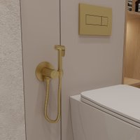 Гигиенический душ Oliveeka 829909 (золотой)