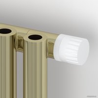 Стальной трубчатый радиатор Сунержа Эстет-0 EU50 правый 500х225 5 секций (шампань)