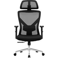 Офисное кресло Evolution ErgoLine 2 (черный)