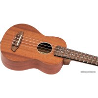 Укулеле Ortega Timber RFU10S