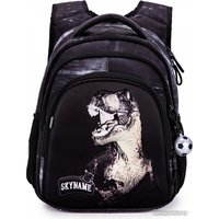 Школьный рюкзак SkyName R2-202 + брелок мячик