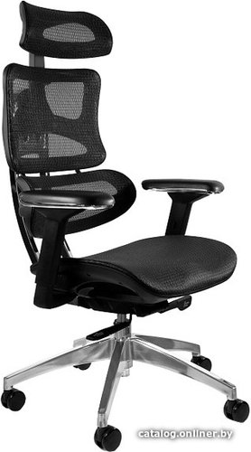 Офисное кресло UNIQUE Ergotech CM-B137A (черный)