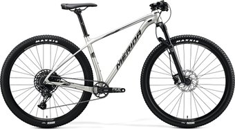 Merida Big.Nine NX-Edition M 2020