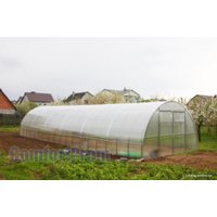 Теплица ComfortProm 40x20/1 4x4 м (двухстворчатая, 6 мм поликарбонат)