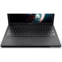 Ноутбук Lenovo G505 (59419659)