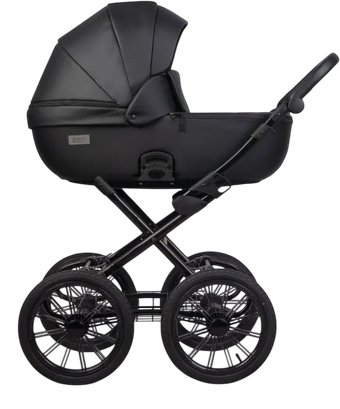 Универсальная коляска Riko Montana X Ecco Prestige 2 В 1 Basic 12 (черный)