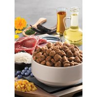 Сухой корм для собак BonaCibo Для взрослых собак всех пород ягненок и рис 15 кг