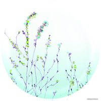 Набор тарелок Luminarc Simply Trompette Turquoise V2715 (44 пр)