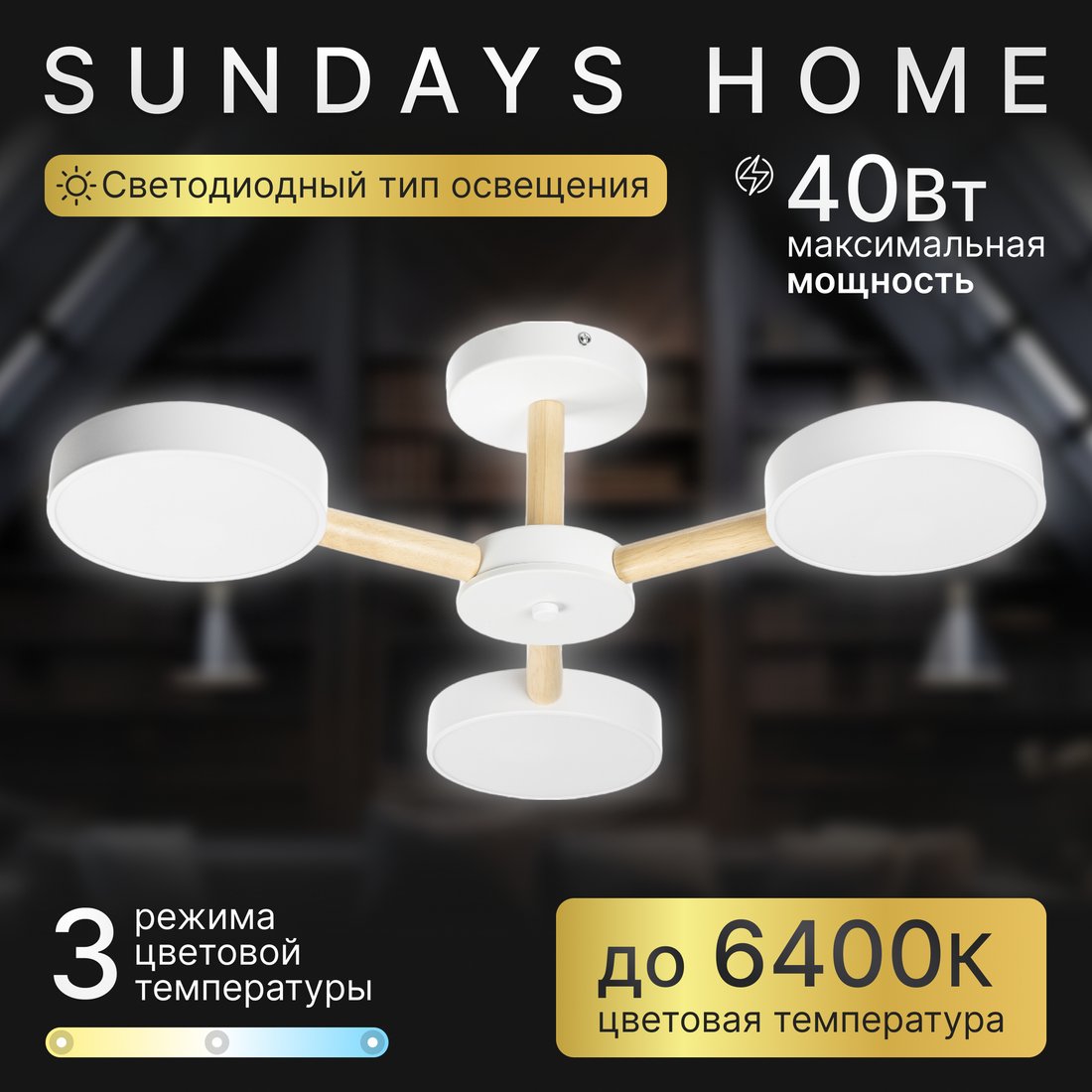 

Припотолочная люстра Sundays Home 240924-22 5849