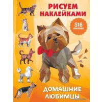  АСТ. Домашние любимцы 9785171357009 (Дмитриева Валентина Геннадьевна) в Мозыре