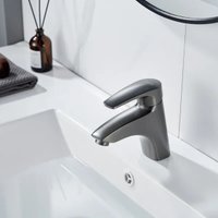 Смеситель Shevanik S5001T