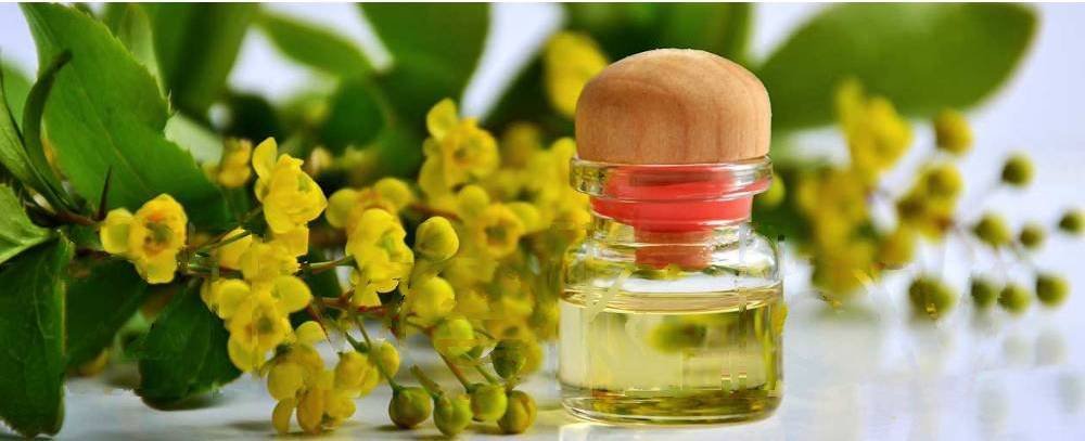 

Картина на стекле Stamprint Руай тай SP001 (50x125)