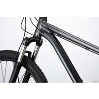 Велосипед Cannondale Trail 5 29 M 2020 (графит)