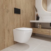 Унитаз подвесной Lauter Vortex 2110830VP