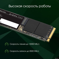 SSD Digma Pro Top P6 2TB DGPST5002TP6T4