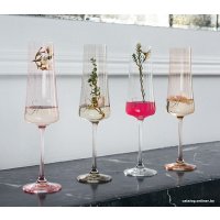 Набор бокалов для шампанского Stenova Home Astoria Rose 611015 (2 шт)
