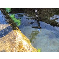 Фонарь Яркий луч GLO-TOOB (белый) [4606400105121]