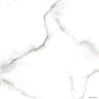 Керамогранит (плитка грес) Netto Carrara Polished 600x600