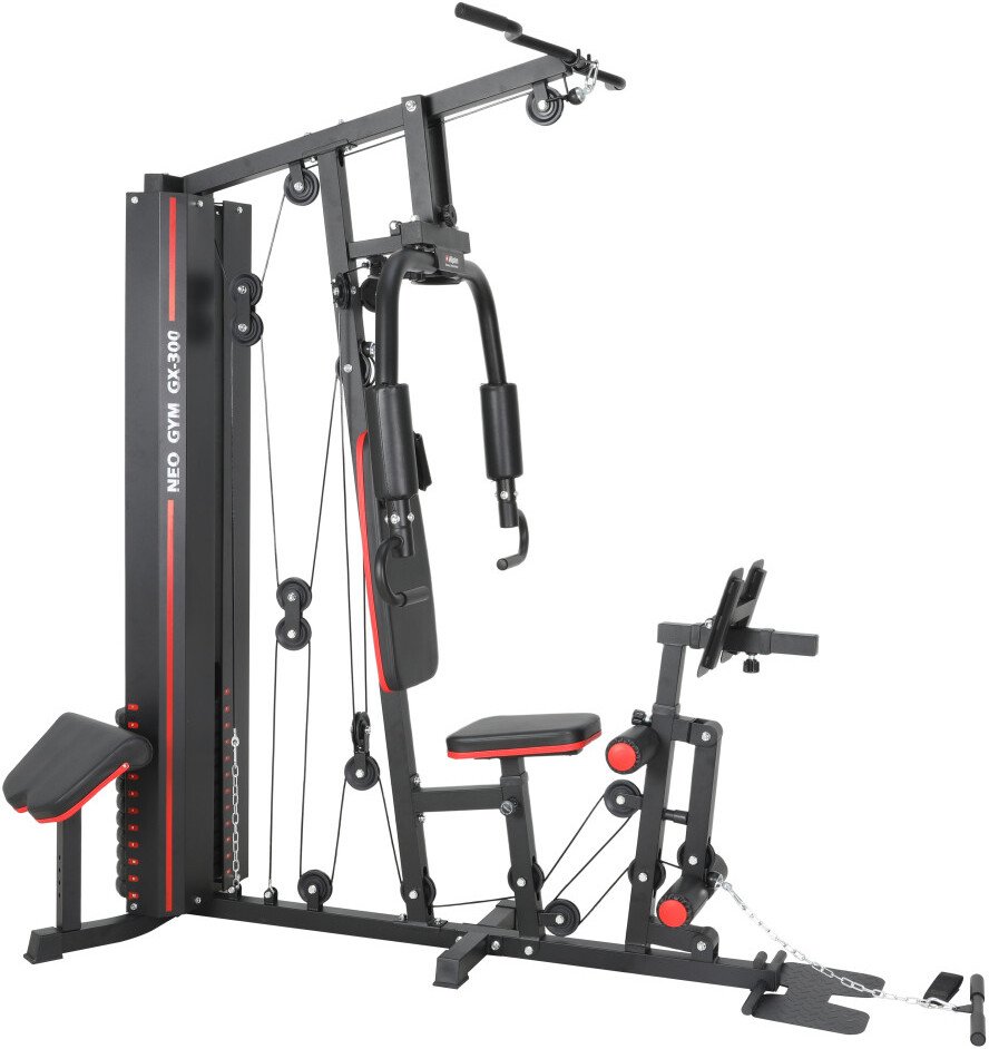 

Силовой комплекс Alpin Neo Gym GX-300
