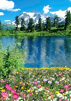 Бумажные обои Твоя планета Люкс Алтайское лето (194x136)