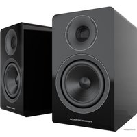 Полочная акустика Acoustic Energy AE300 (черный) в Лиде