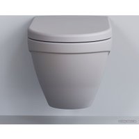 Сиденье для унитаза Ambassador Nord 132T20301 (серый матовый)