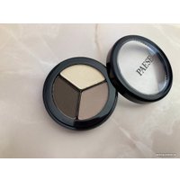 Тени для век Paese Luxus Eye Shadows (101)