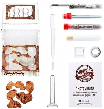 Формикарий AntsMinsk Стартовый комплект XL Tree