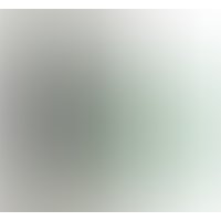 Батарейный блок Wismec Predator 228 (черный)