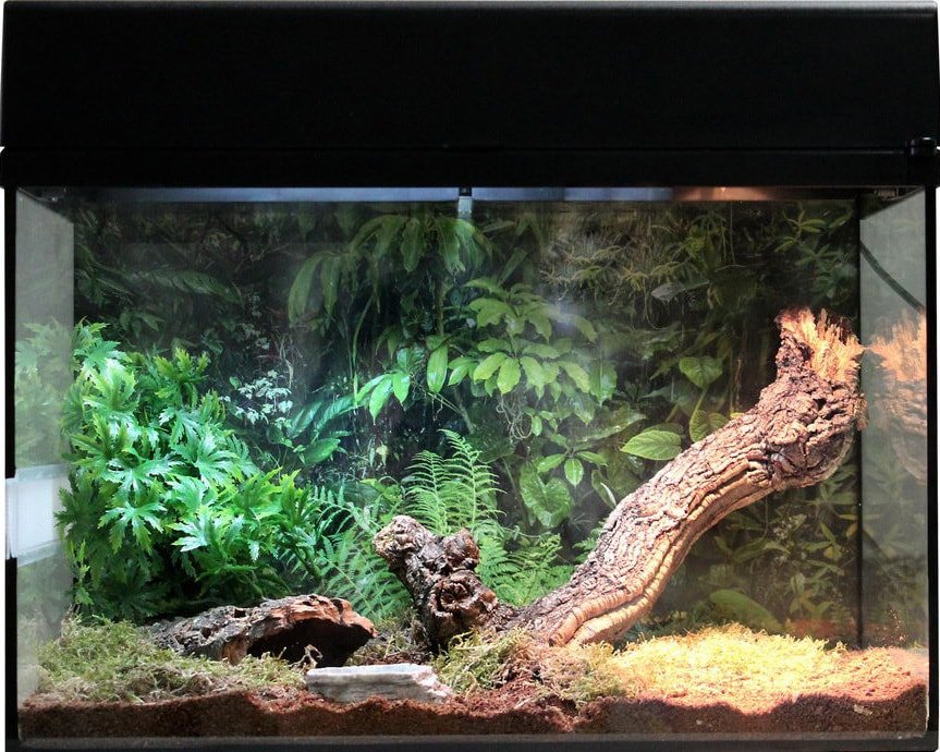 

Террариум Lucky Reptile Стартовый комплект для пауков и скорпионов SK50TS-B (черный)