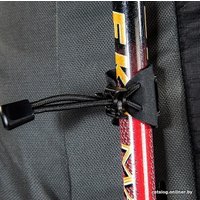 Туристический рюкзак Tatonka Bison 90+10 (black)