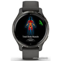 Умные часы Garmin Venu 2S (сланцевая нержавеющая сталь/черный)