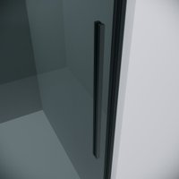 Душевая дверь Grossman Galaxy 100x195 100.K33.01.100.21.10 (черный матовый/стекло тонированное) в Орше