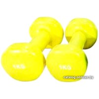 Набор гантелей PX-Sport DB107-10 2x1 кг