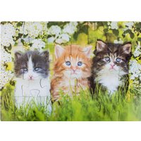 Пазл Dream Makers Зверята RI2402C