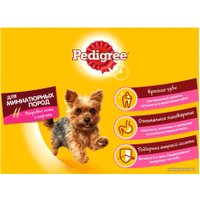 Сухой корм для собак Pedigree для взрослых миниатюрных пород с говядиной 1.2 кг