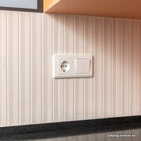 Розетка Werkel W1171101