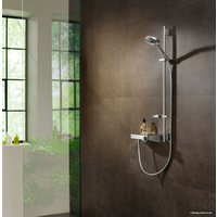 Душевая лейка Hansgrohe Raindance Select S 120 3jet 26014000