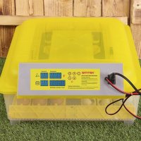 Инкубатор для животных Sititek 48