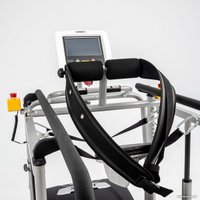 Электрическая беговая дорожка Spirit Fitness LW650