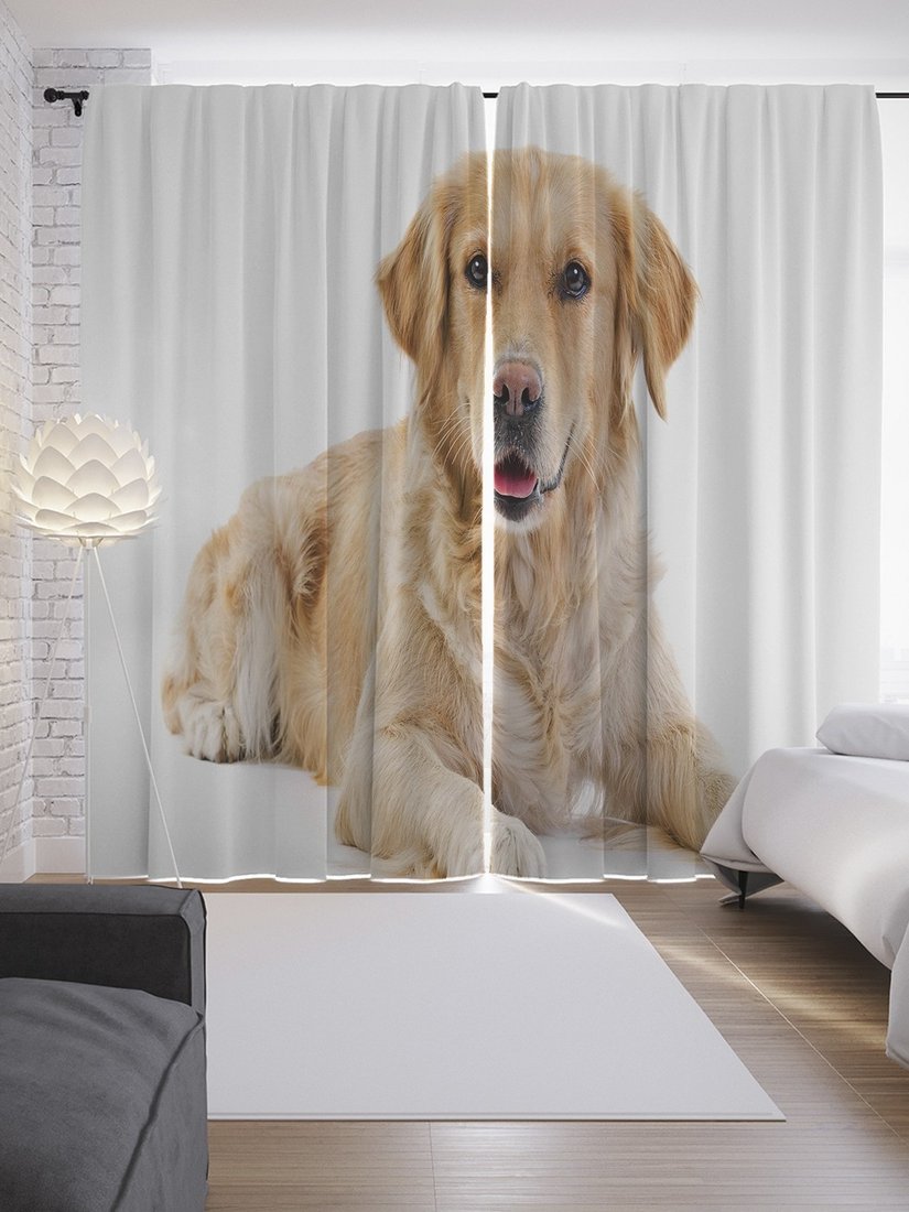 

Комплект штор JoyArty Взрослый ретривер p_59184 (145x265)